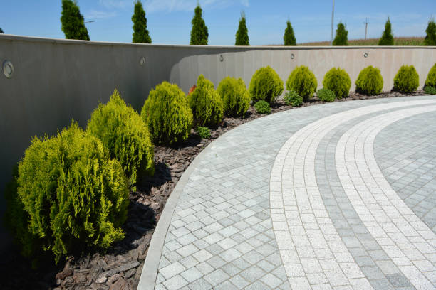 Best Driveway Paving Company  in Jackson, GA